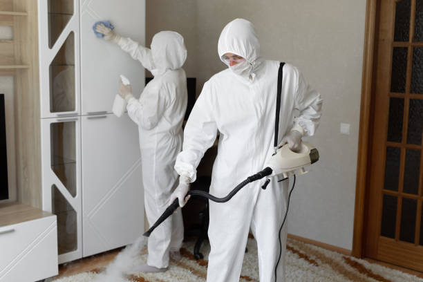 Best Black Mold Remediation in Orange Blossom, CA