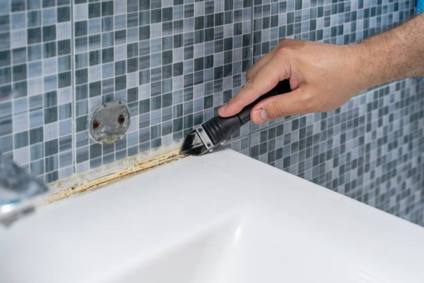 Best Basement Mold Remediation in Orange Blossom, CA